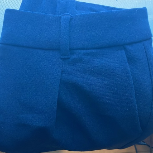 NWOT Extra High-Waisted Taylor Wide-Leg Trouser Pants - M Tall - Picture 5 of 5